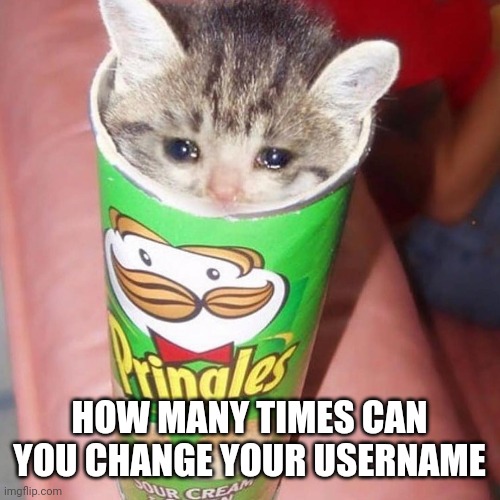 I've heard there was a maximum amount of times you could change it, how many is that | HOW MANY TIMES CAN YOU CHANGE YOUR USERNAME | image tagged in don't question the image | made w/ Imgflip meme maker