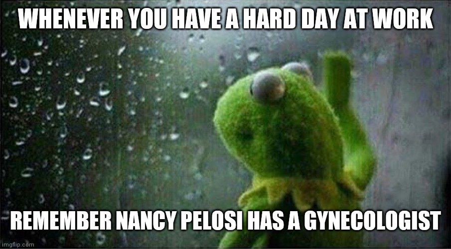 Kermit staring out of window | WHENEVER YOU HAVE A HARD DAY AT WORK; REMEMBER NANCY PELOSI HAS A GYNECOLOGIST | image tagged in kermit staring out of window | made w/ Imgflip meme maker