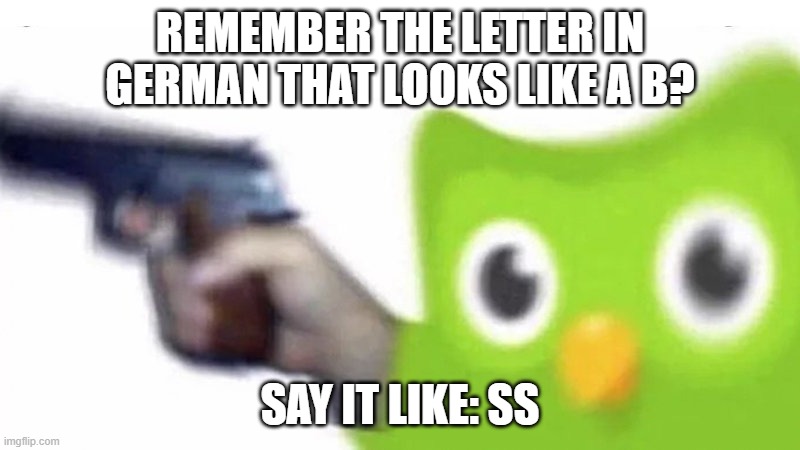 ß Germany | REMEMBER THE LETTER IN GERMAN THAT LOOKS LIKE A B? SAY IT LIKE: SS | image tagged in duolingo gun,duolingo,german,language | made w/ Imgflip meme maker
