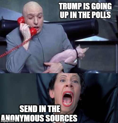 I call B.S. | TRUMP IS GOING UP IN THE POLLS; SEND IN THE ANONYMOUS SOURCES | image tagged in dr evil and frau | made w/ Imgflip meme maker