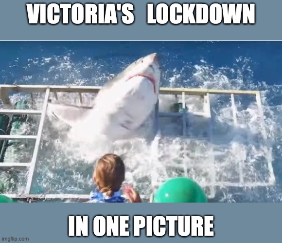 Victoria's Lockdown | VICTORIA'S   LOCKDOWN; IN ONE PICTURE | image tagged in covid 19,victoria,lockdown,dictatordan,xunt | made w/ Imgflip meme maker
