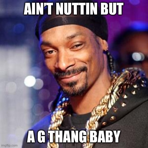 Snoop dogg | AIN’T NUTTIN BUT A G THANG BABY | image tagged in snoop dogg | made w/ Imgflip meme maker