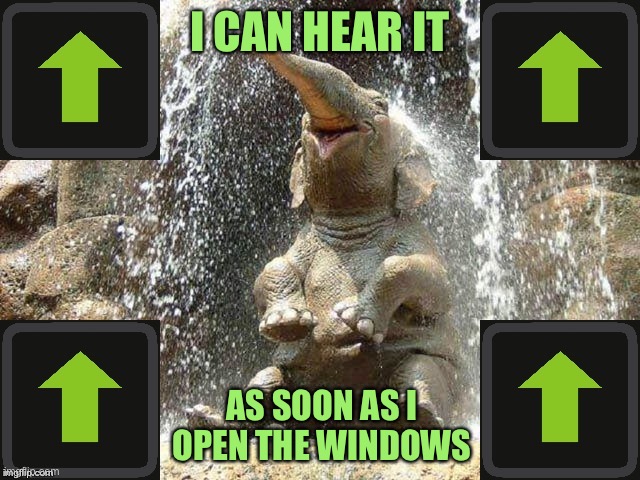 Upvote Elephant | I CAN HEAR IT AS SOON AS I OPEN THE WINDOWS | image tagged in upvote elephant | made w/ Imgflip meme maker