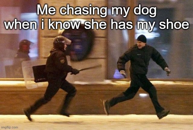 Police Chasing Guy | Me chasing my dog when i know she has my shoe | image tagged in police chasing guy | made w/ Imgflip meme maker