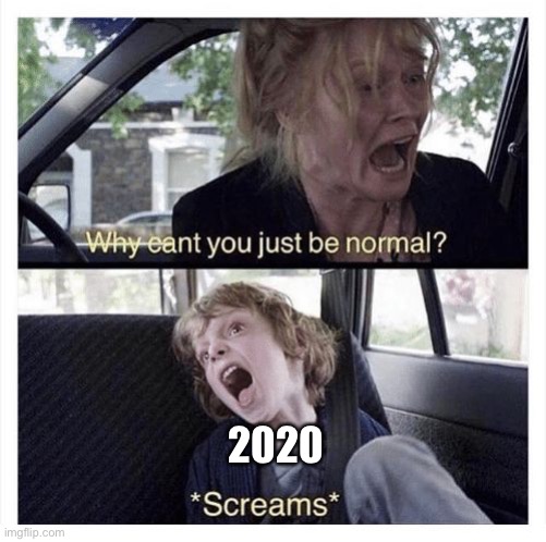 2020 in a nutshell | 2020 | image tagged in why can t you be normal | made w/ Imgflip meme maker