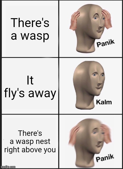 Panik Kalm Panik Meme | There's a wasp; It fly's away; There's a wasp nest right above you | image tagged in memes,panik kalm panik | made w/ Imgflip meme maker