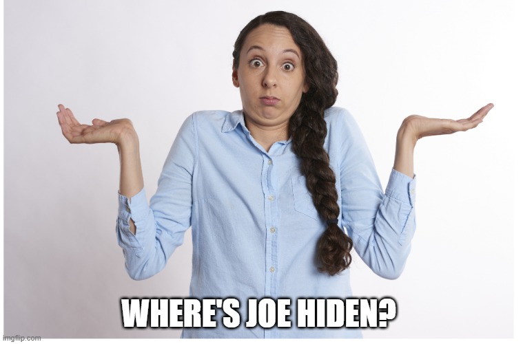 Where's Joe Hiden | WHERE'S JOE HIDEN? | image tagged in joe biden,joe hiden,funny,politics,sleepy joe | made w/ Imgflip meme maker