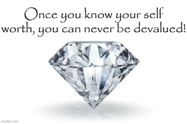 Diamond Knowing Self Worth Can Never Be Devalued | image tagged in diamond knowing self worth can never be devalued | made w/ Imgflip meme maker