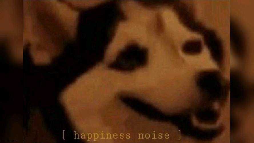 Happiness Noises | image tagged in happiness noise | made w/ Imgflip meme maker