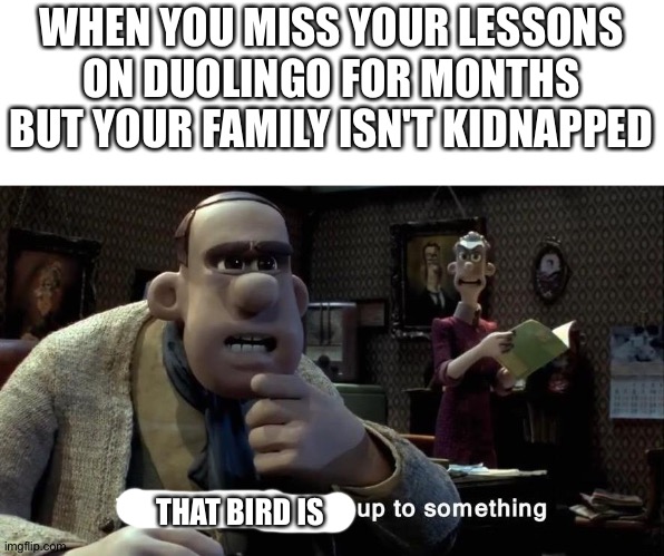 Those chickens are up to something |  WHEN YOU MISS YOUR LESSONS ON DUOLINGO FOR MONTHS BUT YOUR FAMILY ISN'T KIDNAPPED; THAT BIRD IS | image tagged in those chickens are up to something,duolingo,memes,family,stop reading the tags | made w/ Imgflip meme maker