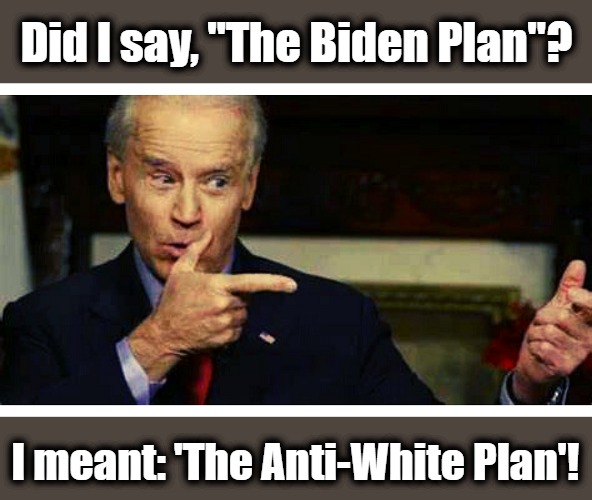 Translating Clueless Joe | Did I say, "The Biden Plan"? I meant: 'The Anti-White Plan'! | image tagged in joe biden,creepy joe biden,kamala harris,bidens handlers,kamalas handlers,antiwhite | made w/ Imgflip meme maker