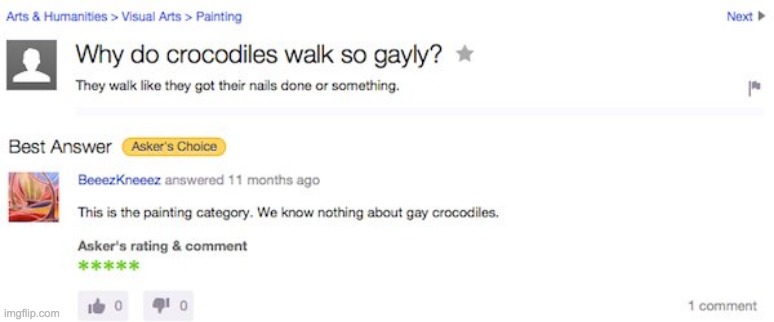 What?!? Your art degree doesn't teach you anything about crocodiles? | image tagged in why do crocodiles walk so gayly,why do alligators move like straight people,why did my wife walk out of my life | made w/ Imgflip meme maker