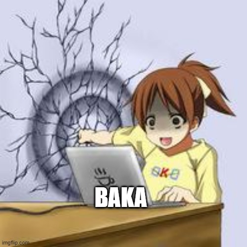 Anime wall punch | BAKA | image tagged in anime wall punch | made w/ Imgflip meme maker