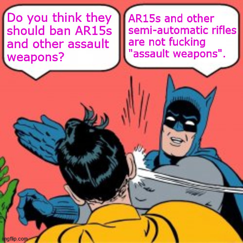 assault weapon ban | AR15s and other 
semi-automatic rifles 
are not fucking 
"assault weapons". Do you think they 
should ban AR15s 
and other assault 
weapons? | image tagged in gun control | made w/ Imgflip meme maker