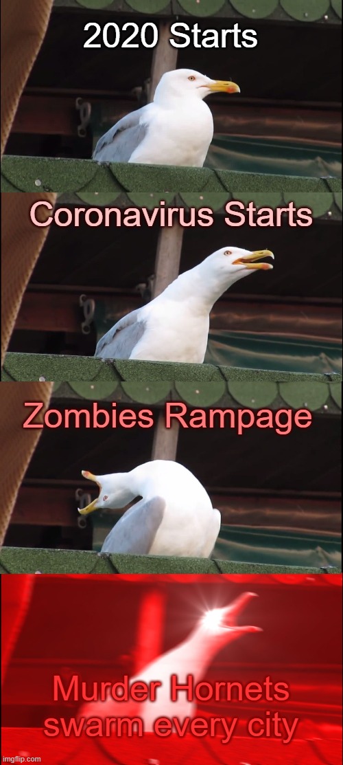 2020 bad event be like | 2020 Starts; Coronavirus Starts; Zombies Rampage; Murder Hornets swarm every city | image tagged in memes,inhaling seagull | made w/ Imgflip meme maker