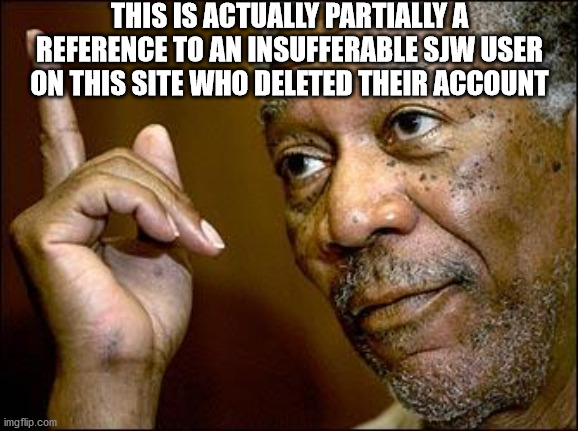 This Morgan Freeman | THIS IS ACTUALLY PARTIALLY A REFERENCE TO AN INSUFFERABLE SJW USER ON THIS SITE WHO DELETED THEIR ACCOUNT | image tagged in this morgan freeman | made w/ Imgflip meme maker