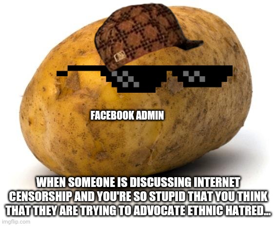 I am a potato | FACEBOOK ADMIN; WHEN SOMEONE IS DISCUSSING INTERNET CENSORSHIP AND YOU'RE SO STUPID THAT YOU THINK THAT THEY ARE TRYING TO ADVOCATE ETHNIC HATRED... | image tagged in i am a potato | made w/ Imgflip meme maker