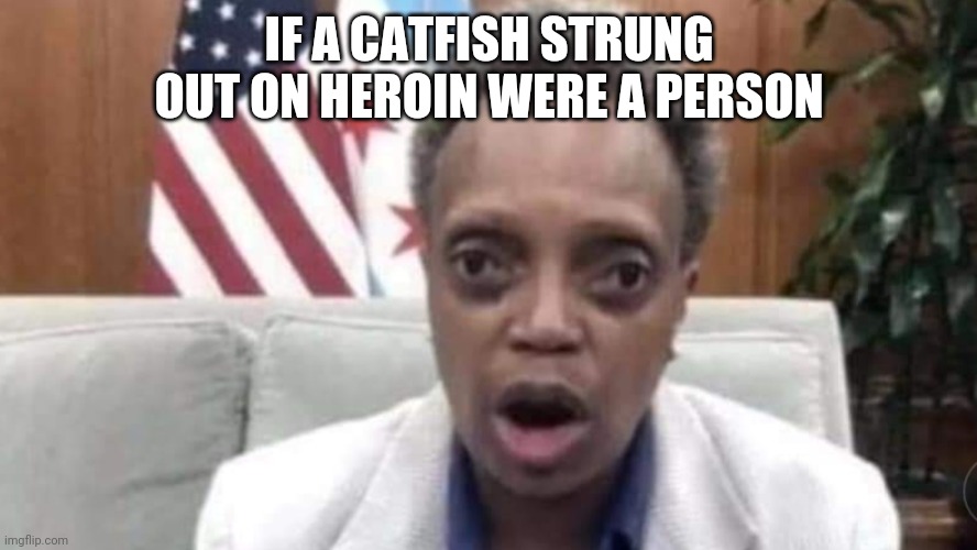 IF A CATFISH STRUNG OUT ON HEROIN WERE A PERSON | image tagged in chicago | made w/ Imgflip meme maker