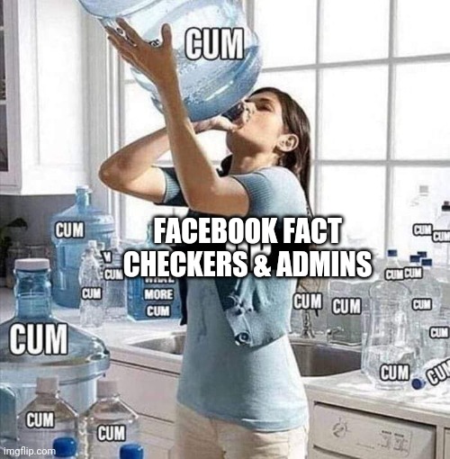 FACEBOOK FACT CHECKERS & ADMINS | image tagged in facebook | made w/ Imgflip meme maker