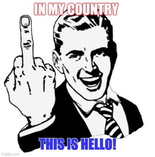 1950s Middle Finger | IN MY COUNTRY; THIS IS HELLO! | image tagged in memes,1950s middle finger | made w/ Imgflip meme maker