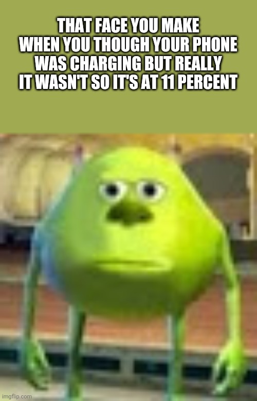 Sully Wazowski | THAT FACE YOU MAKE WHEN YOU THOUGH YOUR PHONE WAS CHARGING BUT REALLY IT WASN'T SO IT'S AT 11 PERCENT | image tagged in sully wazowski | made w/ Imgflip meme maker