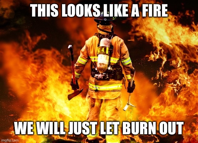 fireman | THIS LOOKS LIKE A FIRE WE WILL JUST LET BURN OUT | image tagged in fireman | made w/ Imgflip meme maker