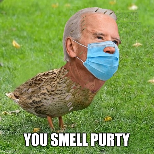 You too | YOU SMELL PURTY | image tagged in joe bidenduck | made w/ Imgflip meme maker