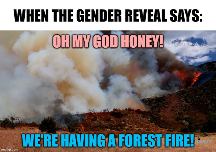 El Dorado fire, Yucaipa, CA started by pyrotechnics. | WHEN THE GENDER REVEAL SAYS:; OH MY GOD HONEY! WE'RE HAVING A FOREST FIRE! | image tagged in memes,gender reveal,forest fire,el dorado,yucaipa | made w/ Imgflip meme maker