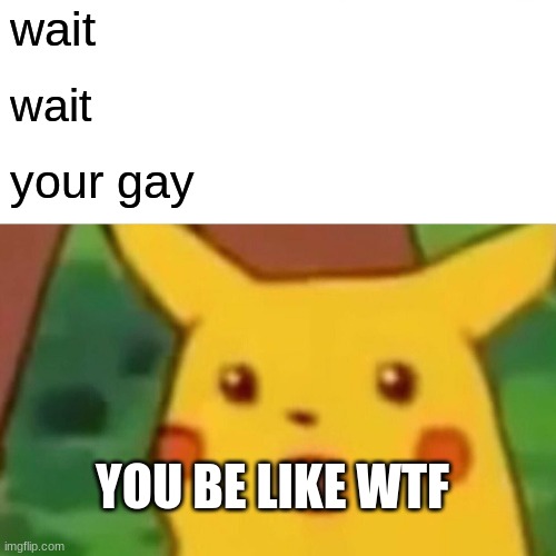Surprised Pikachu Meme | wait; wait; your gay; YOU BE LIKE WTF | image tagged in memes,surprised pikachu | made w/ Imgflip meme maker