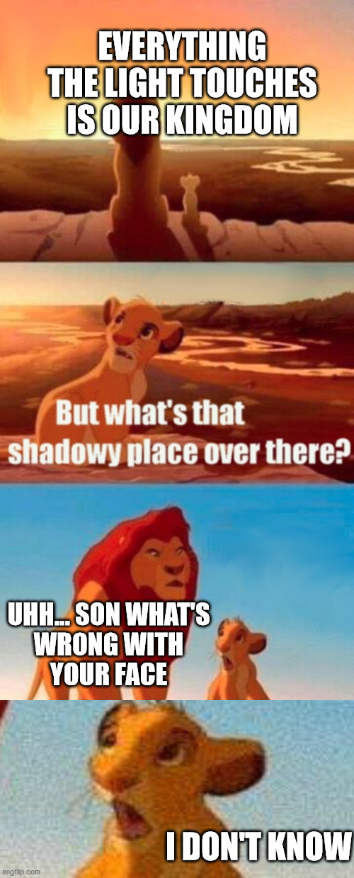 Simba Shadowy Place Meme | EVERYTHING THE LIGHT TOUCHES IS OUR KINGDOM; UHH... SON WHAT'S
 WRONG WITH 
YOUR FACE; I DON'T KNOW | image tagged in memes,simba shadowy place | made w/ Imgflip meme maker
