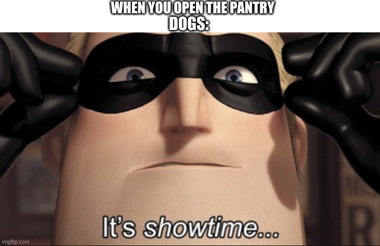 meme | WHEN YOU OPEN THE PANTRY; DOGS: | image tagged in it s showtime | made w/ Imgflip meme maker