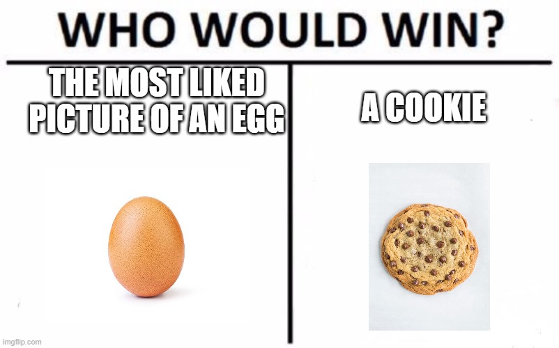 Hmmmmm.... | THE MOST LIKED PICTURE OF AN EGG; A COOKIE | image tagged in memes,who would win | made w/ Imgflip meme maker
