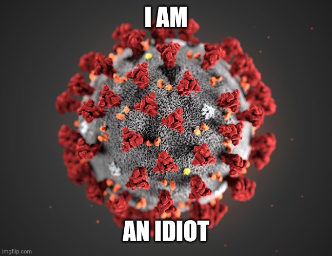 What SARS-CoV-2 virus said to itself |  I AM; AN IDIOT | image tagged in coronavirus,covid-19,covidiots,covid,sars-cov-2,world war c | made w/ Imgflip meme maker