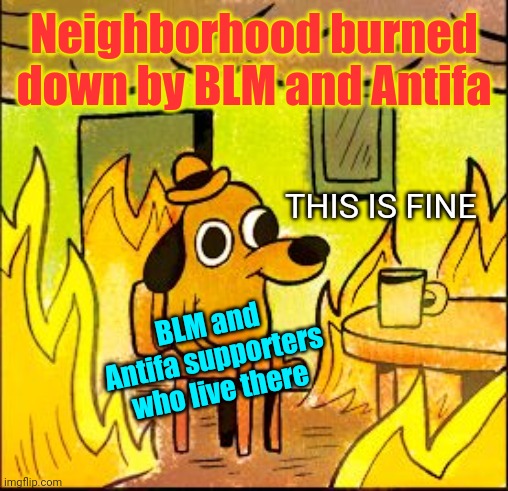 This is fine | Neighborhood burned down by BLM and Antifa; THIS IS FINE; BLM and Antifa supporters who live there | image tagged in this is fine,blm,antifa,riots,democrat party,supporters | made w/ Imgflip meme maker