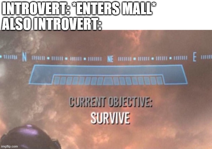 i can relate to this |  INTROVERT: *ENTERS MALL*
ALSO INTROVERT: | image tagged in current objective survive | made w/ Imgflip meme maker