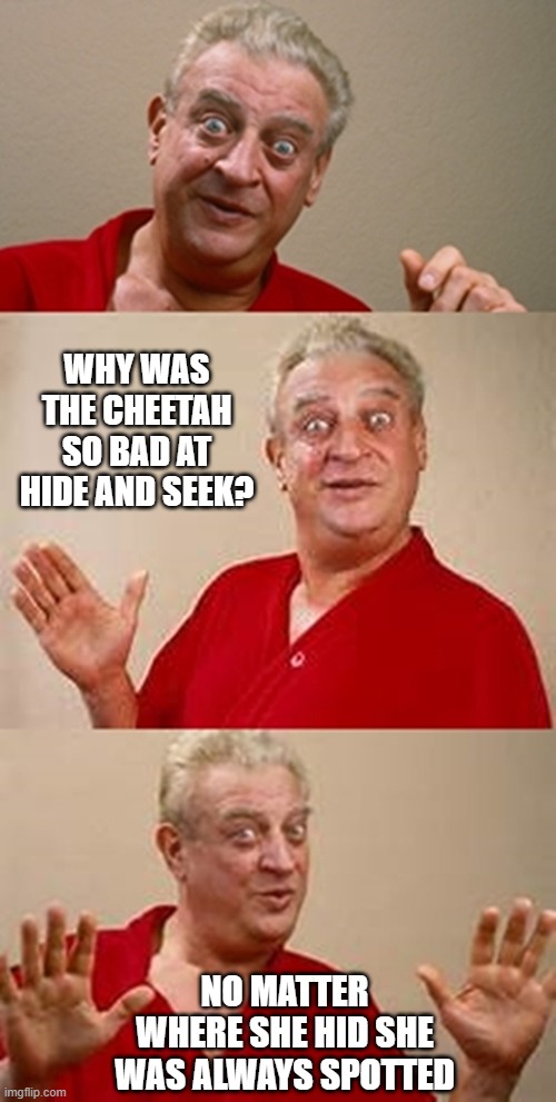 OK Google, tell me a bad joke... | WHY WAS THE CHEETAH SO BAD AT HIDE AND SEEK? NO MATTER WHERE SHE HID SHE WAS ALWAYS SPOTTED | image tagged in bad pun dangerfield,memes,i think a bad joke was spotted,im a man cheetah,hide and seek,dont be evil google dont be evil | made w/ Imgflip meme maker