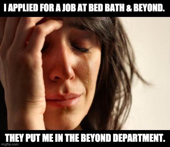 Jobs | I APPLIED FOR A JOB AT BED BATH & BEYOND. THEY PUT ME IN THE BEYOND DEPARTMENT. | image tagged in memes,first world problems | made w/ Imgflip meme maker