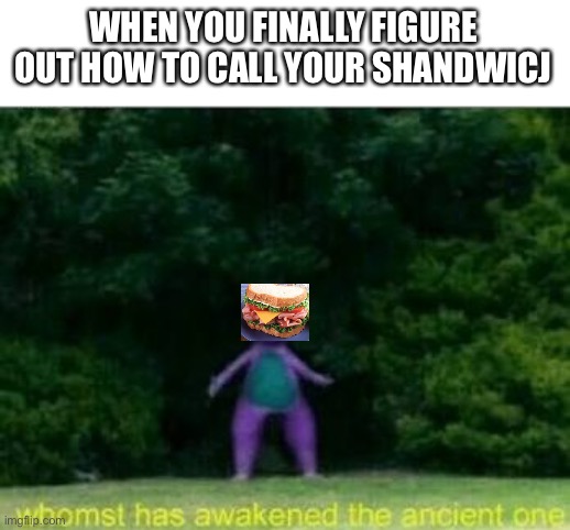 Whomst has awakened the ancient one | WHEN YOU FINALLY FIGURE OUT HOW TO CALL YOUR SHANDWICJ | image tagged in whomst has awakened the ancient one | made w/ Imgflip meme maker