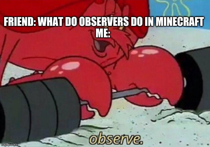 make minecraft memes, not war. | FRIEND: WHAT DO OBSERVERS DO IN MINECRAFT
ME: | image tagged in observe spongebob | made w/ Imgflip meme maker