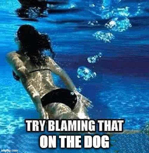 tiny bubbles | ON THE DOG | image tagged in fart bubbles,under water | made w/ Imgflip meme maker