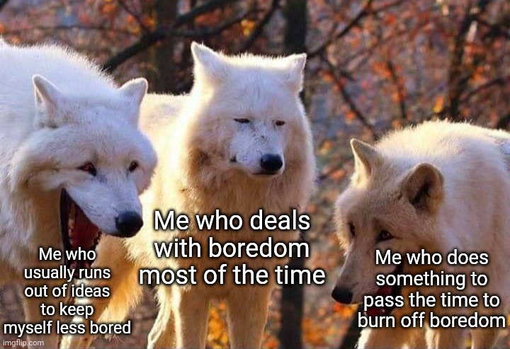 My boredom in a nutshell | Me who usually runs out of ideas to keep myself less bored; Me who deals with boredom most of the time; Me who does something to pass the time to burn off boredom | image tagged in laughing wolf,memes,boredom,bored,meme,in a nutshell | made w/ Imgflip meme maker