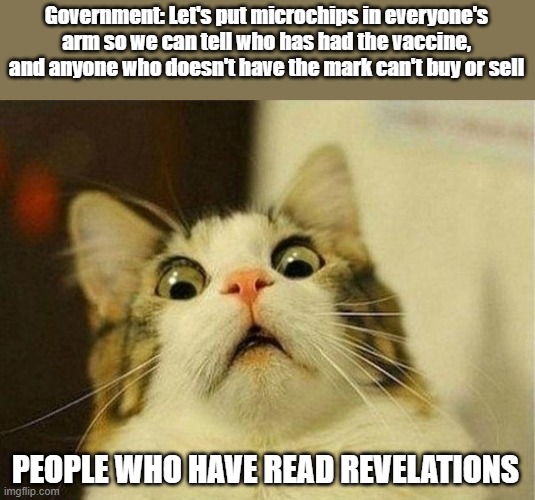 The mark of the Beast | Government: Let's put microchips in everyone's arm so we can tell who has had the vaccine, and anyone who doesn't have the mark can't buy or sell; PEOPLE WHO HAVE READ REVELATIONS | image tagged in memes,scared cat | made w/ Imgflip meme maker