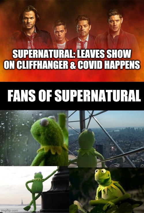 We ever to find out how Supernatual wraps up? | SUPERNATURAL: LEAVES SHOW ON CLIFFHANGER & COVID HAPPENS; FANS OF SUPERNATURAL | image tagged in sad kermit | made w/ Imgflip meme maker