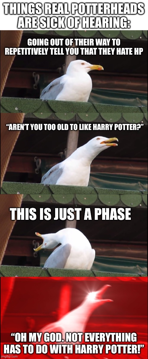 This is my school every damn day. Some kid really broke me and im still | THINGS REAL POTTERHEADS ARE SICK OF HEARING:; GOING OUT OF THEIR WAY TO REPETITIVELY TELL YOU THAT THEY HATE HP; “AREN’T YOU TOO OLD TO LIKE HARRY POTTER?”; THIS IS JUST A PHASE; “OH MY GOD. NOT EVERYTHING HAS TO DO WITH HARRY POTTER!” | image tagged in blank white template,memes,inhaling seagull | made w/ Imgflip meme maker