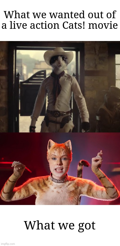 Expectations verses Reality | What we wanted out of a live action Cats! movie; What we got | image tagged in cats,lolcats | made w/ Imgflip meme maker