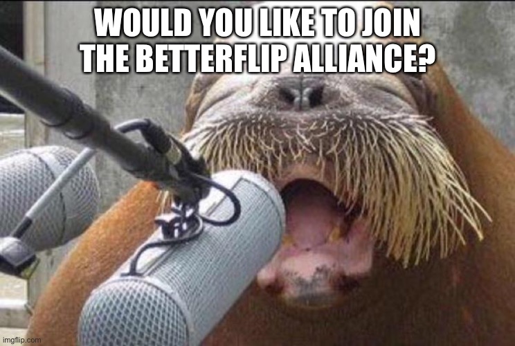 walrus at microphone | WOULD YOU LIKE TO JOIN THE BETTERFLIP ALLIANCE? | image tagged in walrus at microphone | made w/ Imgflip meme maker