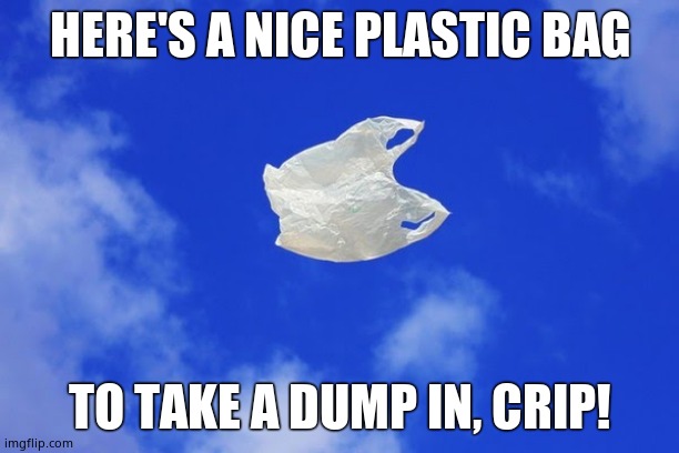 Litter | HERE'S A NICE PLASTIC BAG TO TAKE A DUMP IN, CRIP! | image tagged in litter | made w/ Imgflip meme maker