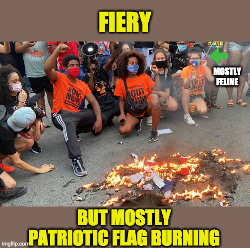 DNC getting out the vote! | FIERY; MOSTLY FELINE; BUT MOSTLY PATRIOTIC FLAG BURNING | image tagged in blm,antifa,dnc,democrats,vote | made w/ Imgflip meme maker
