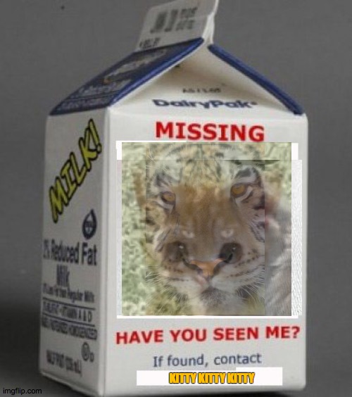 kitty kitty kitty | KITTY KITTY KITTY | image tagged in milk carton,tier,cat,sidekick,eyes | made w/ Imgflip meme maker