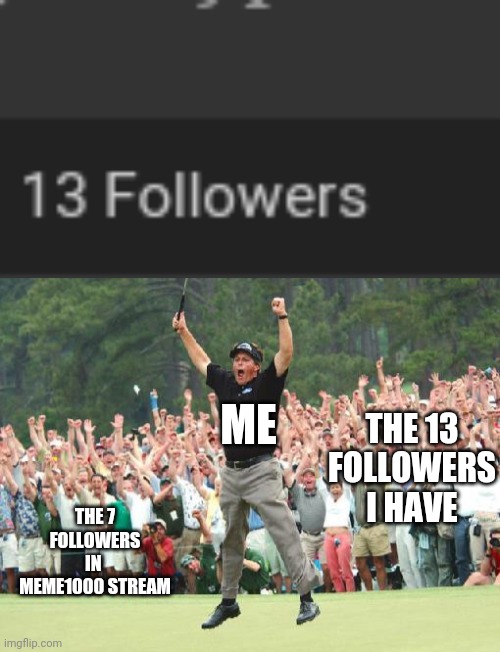 i dont know | THE 13 FOLLOWERS I HAVE; ME; THE 7 FOLLOWERS IN  MEME1000 STREAM | image tagged in golf celebration | made w/ Imgflip meme maker
